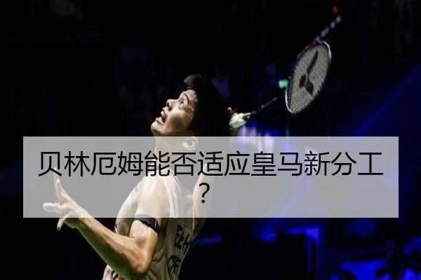 贝林厄姆能否适应皇马新分工？